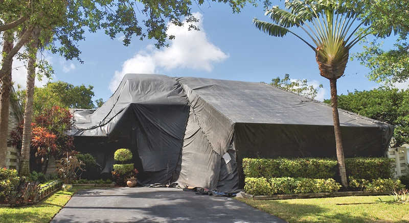 fumigation orange county